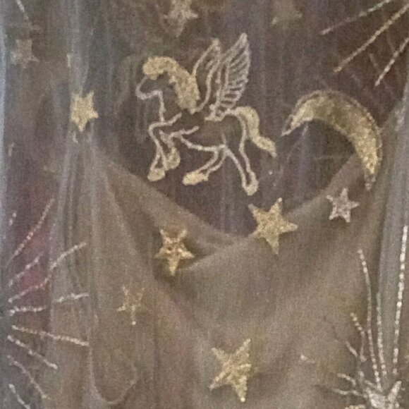 NWT Plus Size 26 Sheer Celestial Dress and Lining - Picture 6 of 8